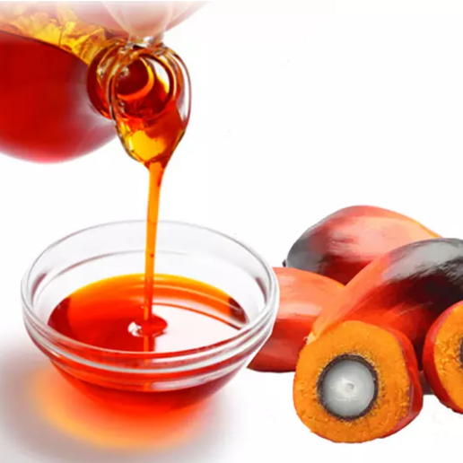Pressa per olio di frutta Plam/macchina per l'estrazione dell'olio di frutta di palma in vendita