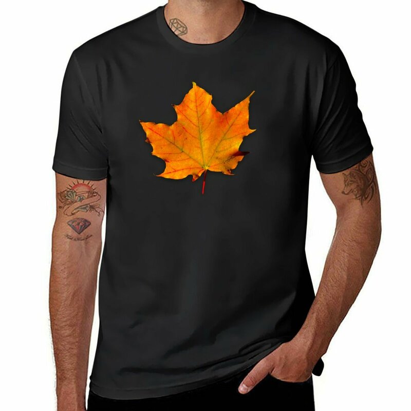 Осенняя Футболка с принтом кленового листа, милые топы, футболки с принтом животных для мальчиков, мужские футболки с графическим принтом