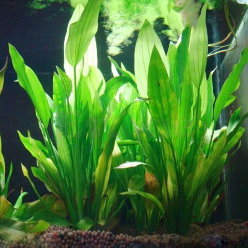 Dekorasi tanaman akuarium plastik buatan, rumput tangki ikan ornamen bunga dekorasi aksesoris akuatik