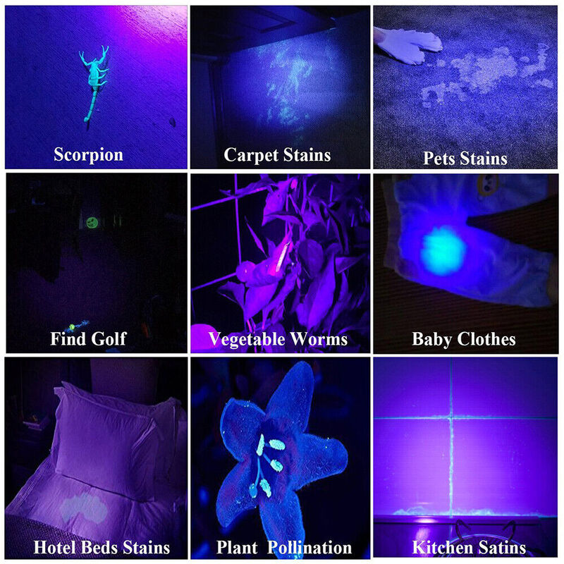 Torcia UV 395nm Blacklight Zoomable USB Ricaricabile Luce UV Torcia ultravioletta per rilevamento urina di animali domestici Polimerizzazione resina