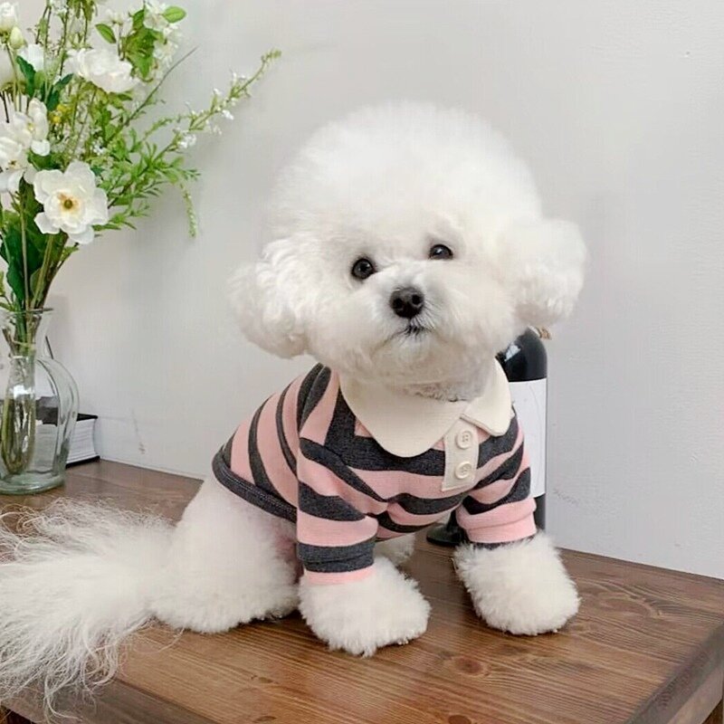 Verão Polo para Cães Puppy Clothes Bichon Frise Chihuahua Stripe Dog Sweatshirt Dog Cooling Vest para cães pequenos e médios