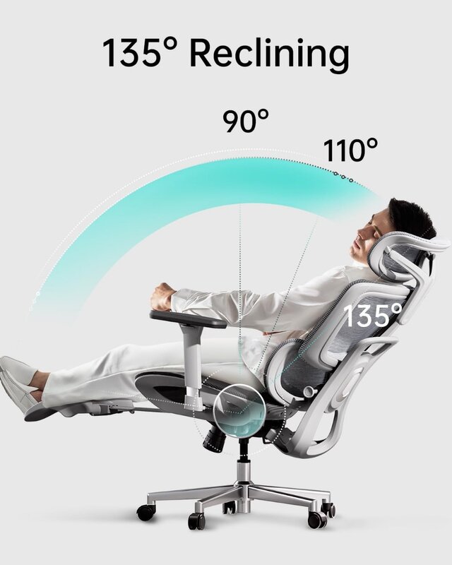 Hbada E208 Ergonomic Office Chair with 3D Adjustable Armrests, Adjustable Headrest High Back for Computer Chair