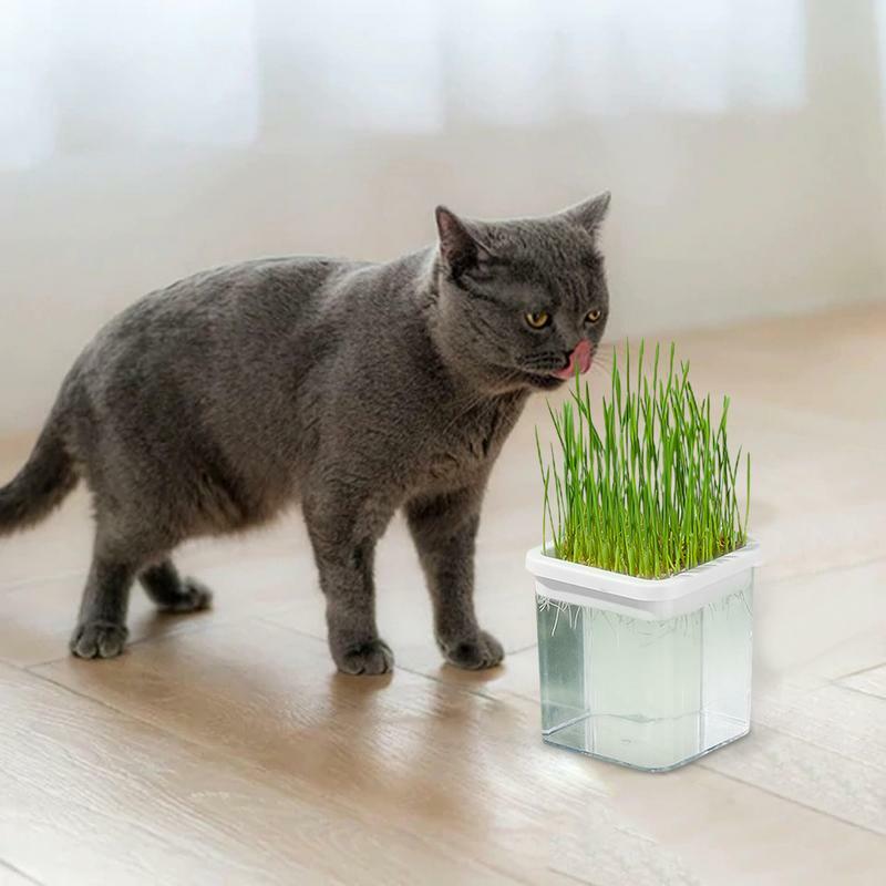Гидропонная коробка для выращивания кошачьей травы, гидропонная коробка для выращивания кошачьей мяты, домашняя коробка для кошачьей травы