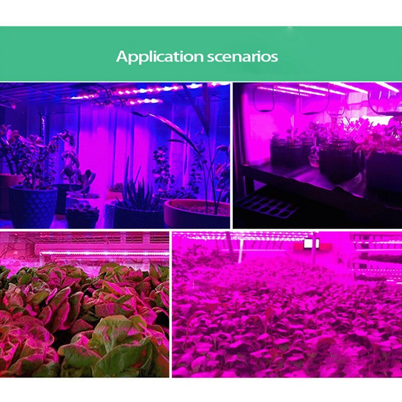 Lampe de croissance LED pour plantes hydroponiques d'intérieur, 5V, 5 mètres, ampoules pour semis, fleur, phyto