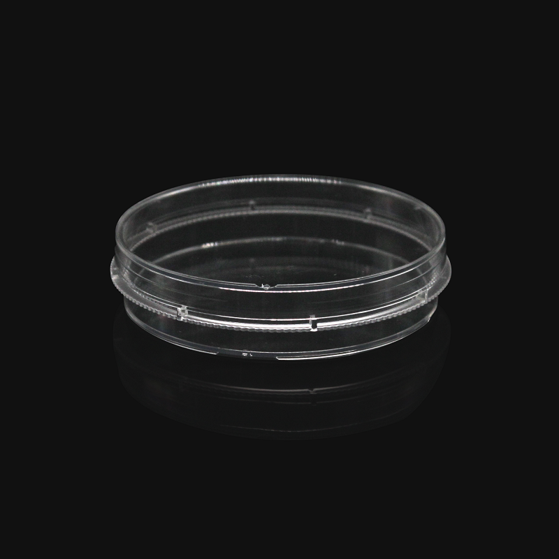 LABSELECT 150mm cell culture dish (Easy-to-grip design), Not Treated, 5 pieces/pack, 12421