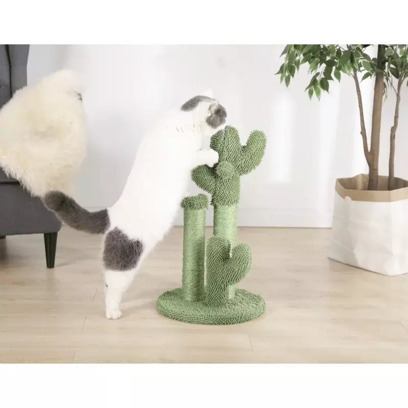 활기찬 생명 선인장 고양이 긁기 포스트, 장난감 공, 녹색