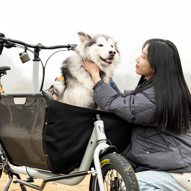 20 "dostawa żywności Ebike elektryczny Pet Camping piknikowy rower towarowy z tylnym silnikiem