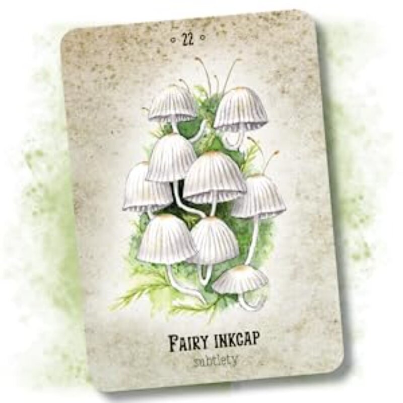 10.4*7.3cm Mushroom Spirit Oracle Cards 36 Pcs Hand-drawn Images of Mushrooms From All Over The World