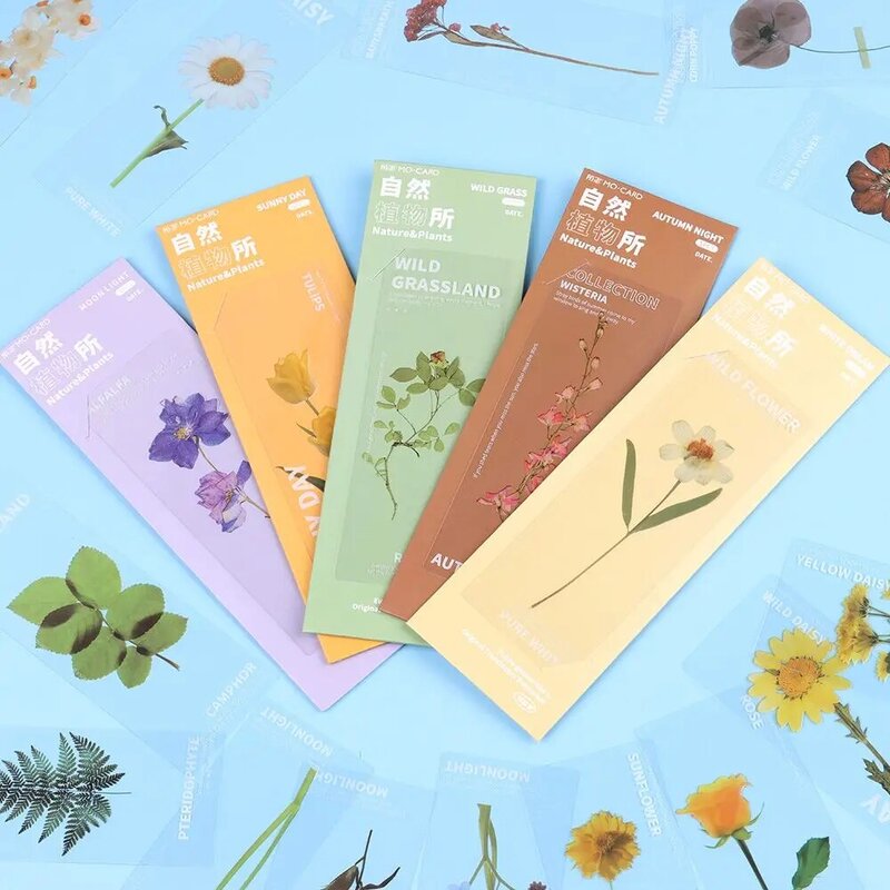Leaf Vein Book Note Marker Page Holder Translucent Flower Nature Plants Bookmarks Bookmarks Card Specimen Bookmarks