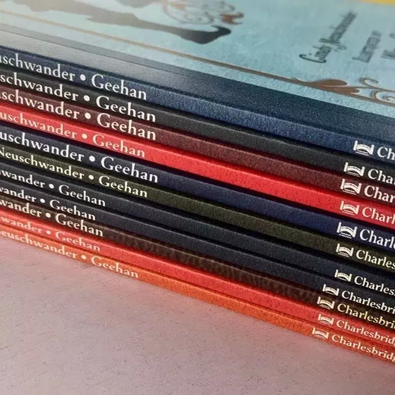 11 książek Sir Cumference matematyczna przygoda pozalekcyjna książka obrazkowa czytania dla dzieci w języku angielskim