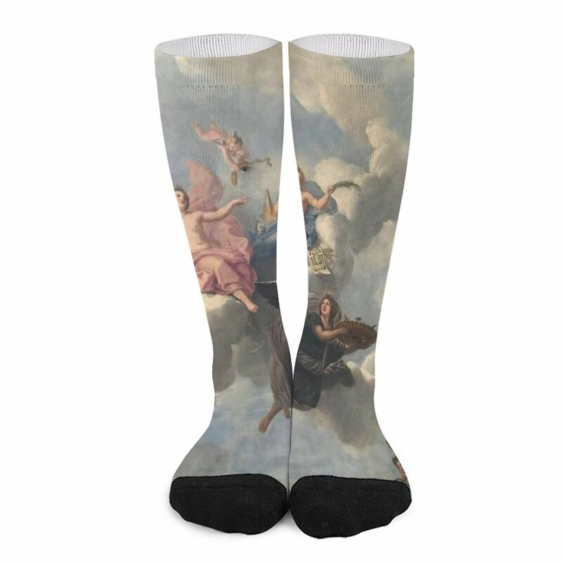 Aesthetic Renaissance Angels Socks gifts for men Stockings compression