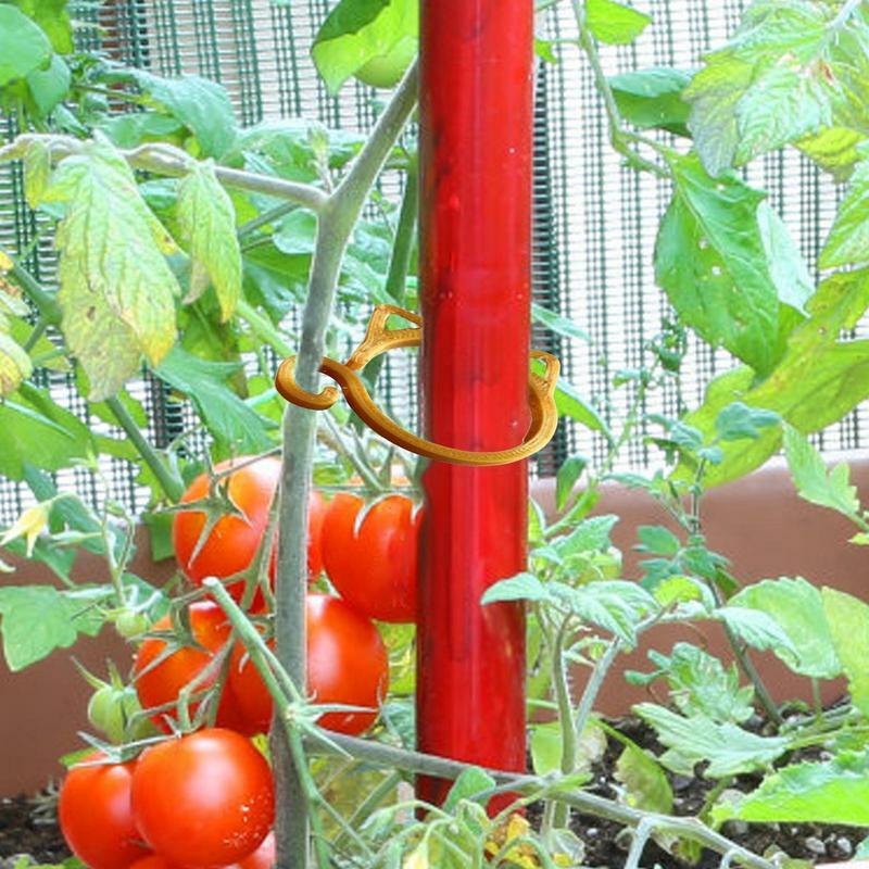 Klipsy do pomidorów w kształcie kota klipsy do podtrzymywania roślin ogrodnicze narzędzie wspierające rośliny do uprawy winogron i pomidorów