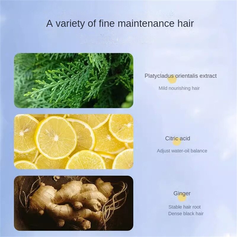 Champú nutritivo para prevenir la caída del cabello, Control efectivo de aceite, jengibre, nutrición del cabello, champú suave, nutre el cabello