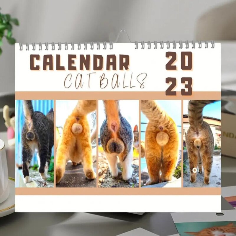 Calendario del culo di gatto pratico Design della bobina stampa trasparente calendario della casa dell'anno accademico 2023 per la casa