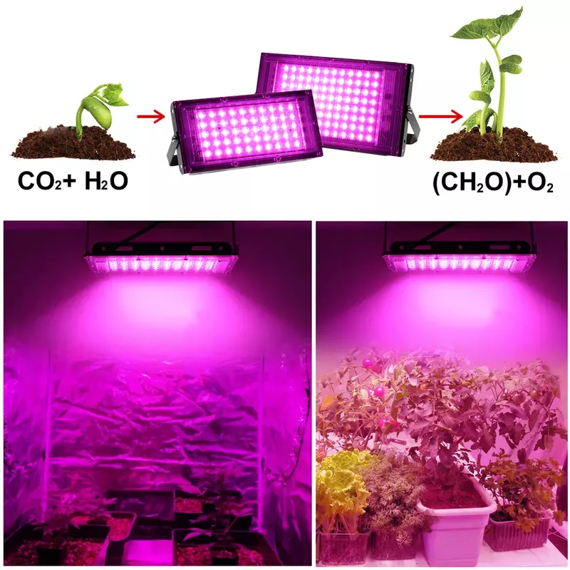 Luz LED de espectro completo para cultivo, lámpara Phyto AC 220V, 50W, 100W, 200W, 300W con enchufe europeo para iluminación de crecimiento de plantas hidropónicas de invernadero