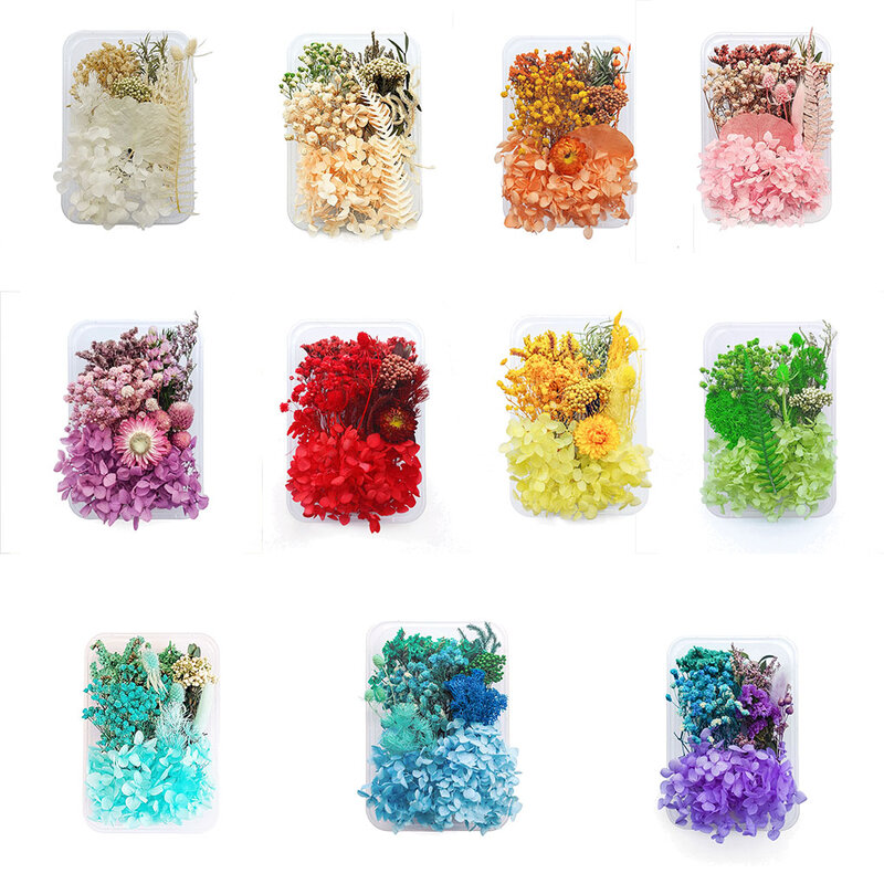 Dried Flower Plants Dry Making for Mobile Phone Case Candle Pendant Jewelry