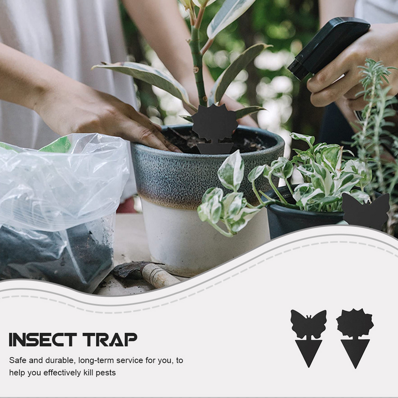 Perangkap papan lengket profesional 24 buah perangkap pembunuh buah lalat jamur serangga Gnat lengket