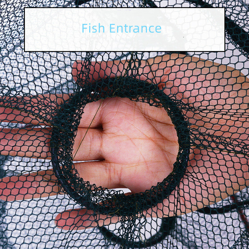 Shrimp Fish Trap Telescopic Folding Fishing Net Mesh Fishnet Cage with Feeder Creel Fordable Carpfishing Crayfish Catcher