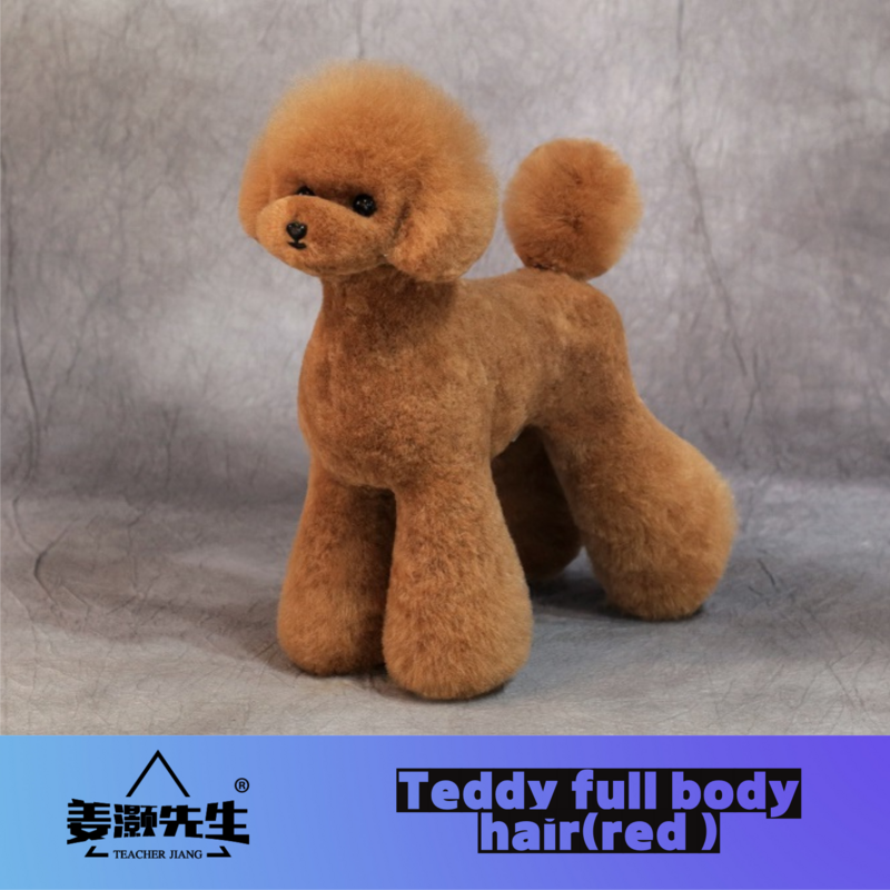 Mr.Jiang Teddy modelo de corpo inteiro, Professor Beleza Pet, Modelagem Prática Dog Model, Esqueleto padrão, Cabelo falso de corpo inteiro
