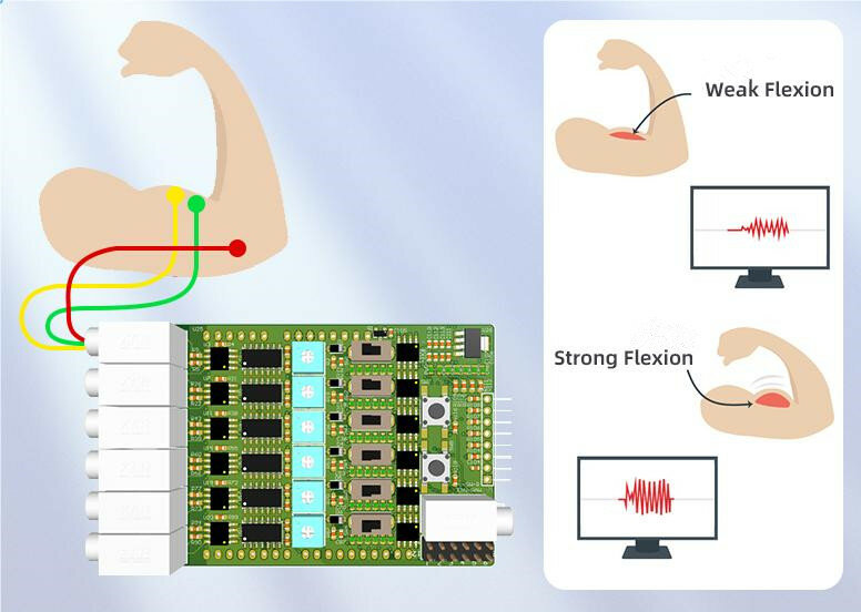 EMG Muscle Sensor Module 6-Channel EMG Muscle Sensor Module Serial Port Communication Secondary Development