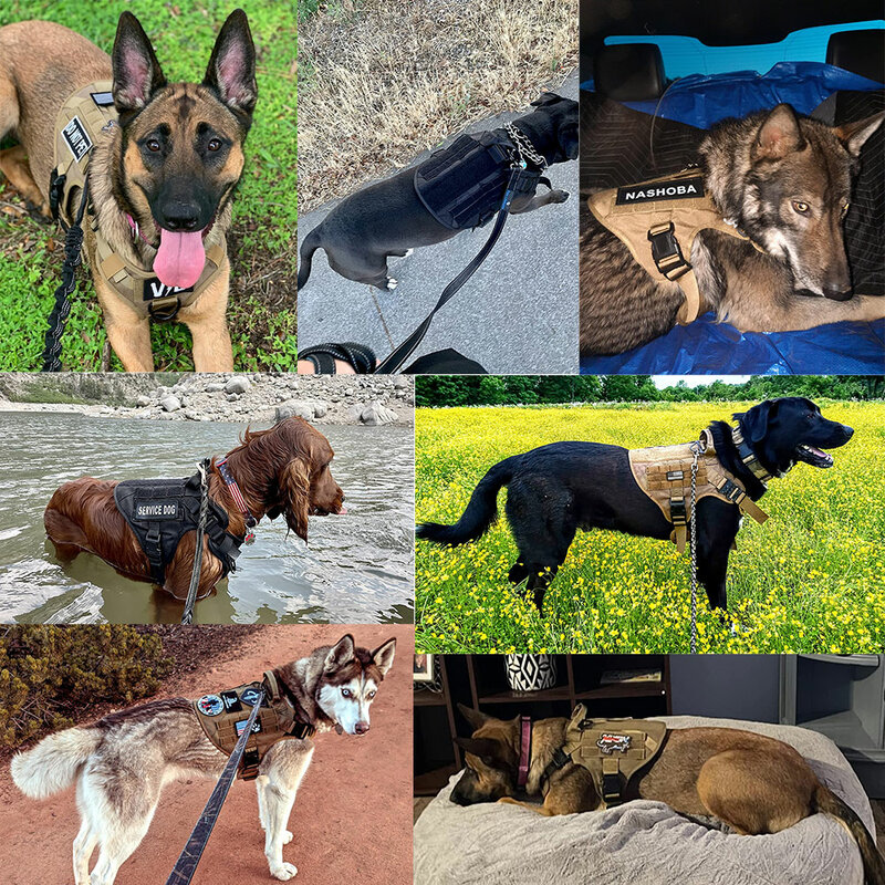 Set Tali dan Pengekang Anjing Besar Peliharaan Gembala Jerman Rompi Latihan Berjalan Malinois Pengekang Anjing dan Set Kerah untuk Semua Jenis Anjing