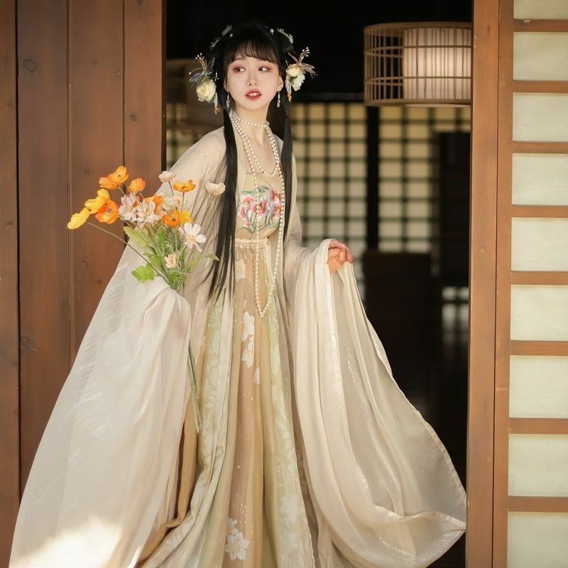 Musim Semi sekitar otentik Tang set lengkap rok Chebula harian dewasa Hanfu wanita siswa dicetak Lengan besar gaya musim semi musim panas