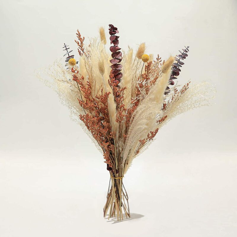 Flores secas naturales bohemias para decoración del hogar, accesorios de decoración para arreglos de boda, pequeñas Pampas secas