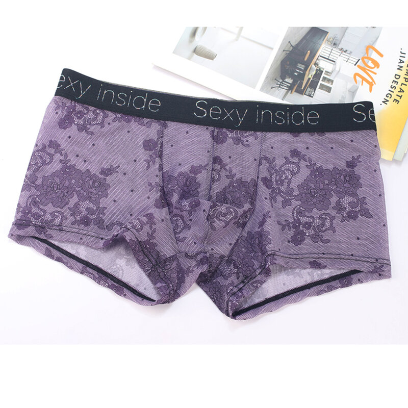 Underpant Bra Pantys Underpants Underwear Ice Silk Mesh Bikini Men's Boxer Briefs See Through Underwear Panties