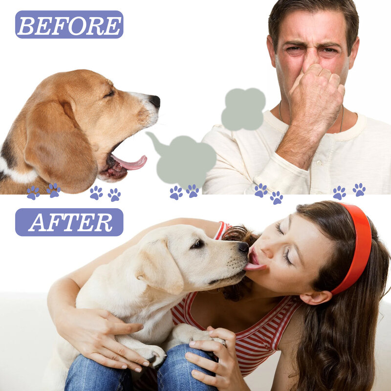 Spray pour soins bucco-dentaires pour chiens et chats, dépistolet ant pour animaux de compagnie, nettoyage buccal, dents fraîches, SAF, chiot, élimination du tartre