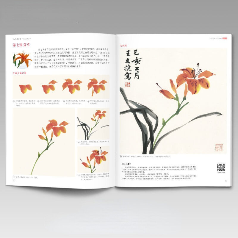 Chinesische Tinte Malerei Technik Tutorial Kinder Freehand Malerei Grundlagen Blume Vogel Gemüse Obst Tier Malerei Buch