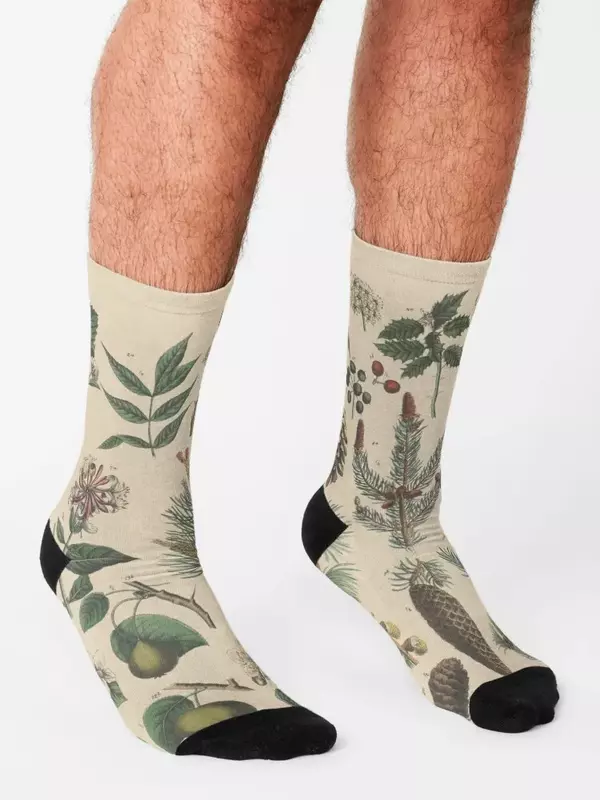 Kaus kaki botani Musim Dingin Pria Wanita, Kaos Kaki mewah motif bahagia