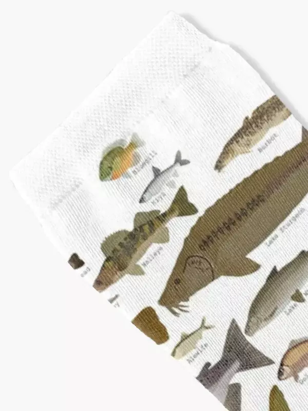 Chaussettes de luxe non ald floor pour hommes et femmes, Fishes of BleSocks