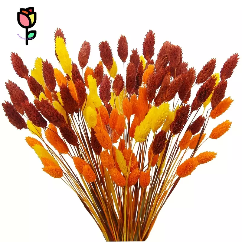 120Pcs Natural Dried Flowers Jewelry Grass Bouquet Wedding Party Decoration Artificial Flower Phalaris Bohemian Home Table Decor