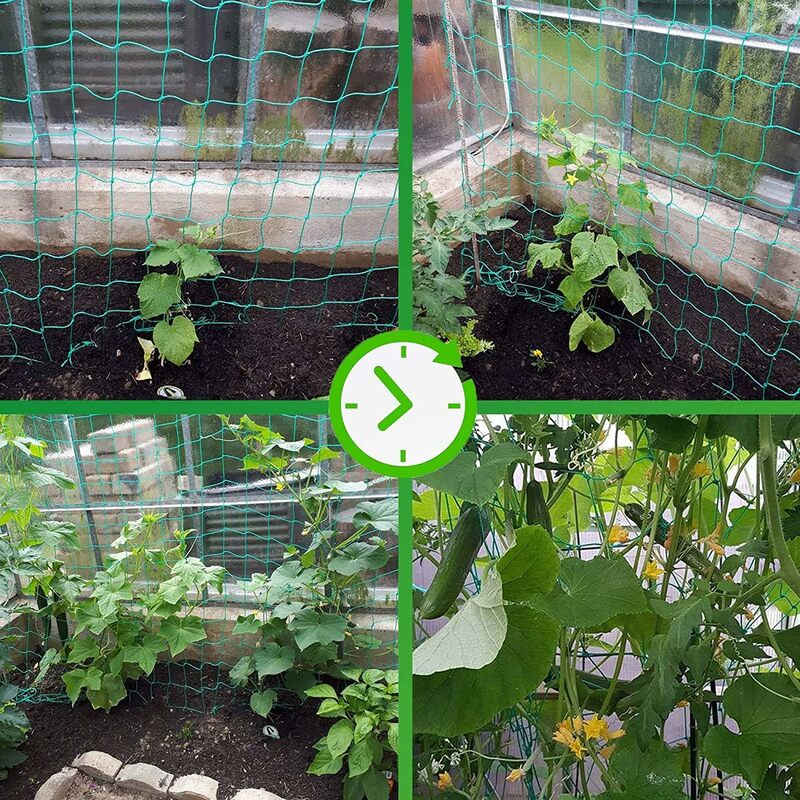 Green Nylon Garden Trellis Netting for Climbing Plants Heavy Duty Mesh Net for Cucumber Tomato Grapes Gardening Accessories
