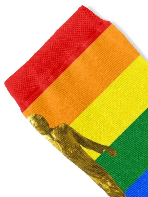 HOMOMOMO: Mormon LGBTQIA + Pride Flag Socks calzini pazzi di capodanno per donna uomo