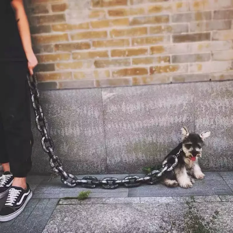 Haustiere simuliert große Eisenkette Traktion sseil Katze Wanders eil Teddy Hunde halsband