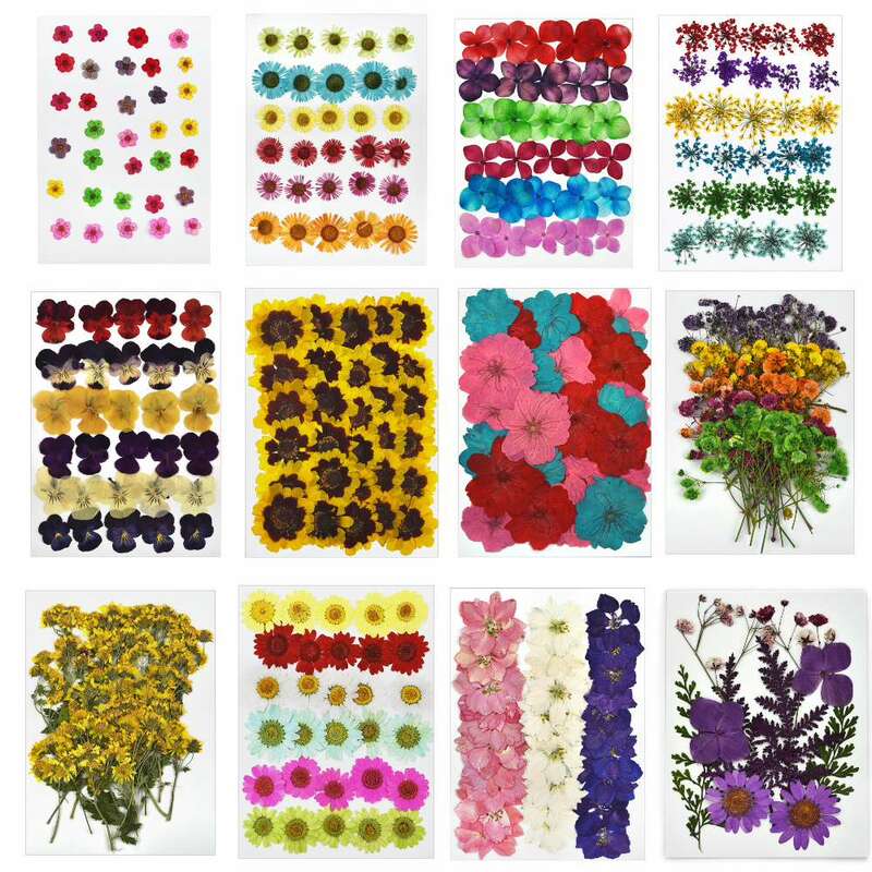 Dried Flowers Diy Art Craft Epoxy Resin Candle Making Jewellery Home Party Decorative Real Pressed Dry Flower Leaves