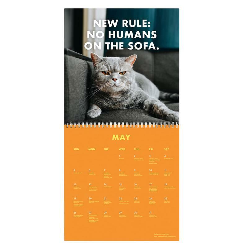 2024 Pissed-Off Cats Calendar Creative Planning Calendar Student Desktop Decoration To-do List Portable Monthly Calendar