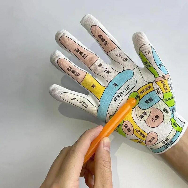 1set Acupoint guanto Area di riflessione massaggio meridiano terapia della mano illustrazione culturale medicina cinese condizionamento vendita calda