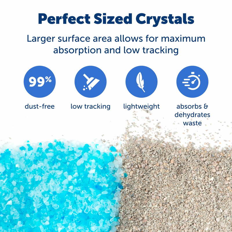 PetSafe ScoopFree-bolsas de arena para gatos de cristal Premium, aroma fresco, cristales de sílice, 4,3 lb ea, 2 paquetes