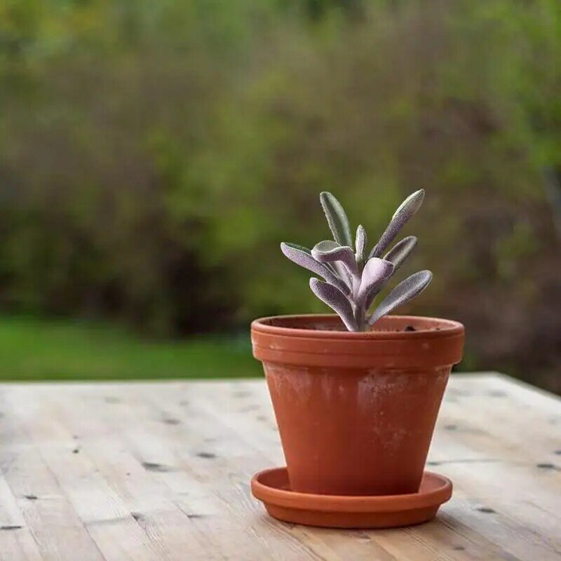 Faux succulente piante finte realistiche non in vaso carino finto floccato succulente testa in vaso per interni fai da te artigianato decorazioni per la casa