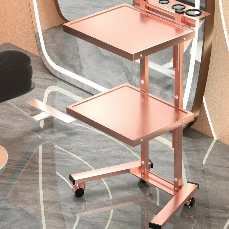 Szpitalny wózek salonowy ze stali nierdzewnej metalowe rzęsy Beauty Spa Salon wózek do przechowywania Carrello Con Ruote meble fryzjerskie ZT50ST