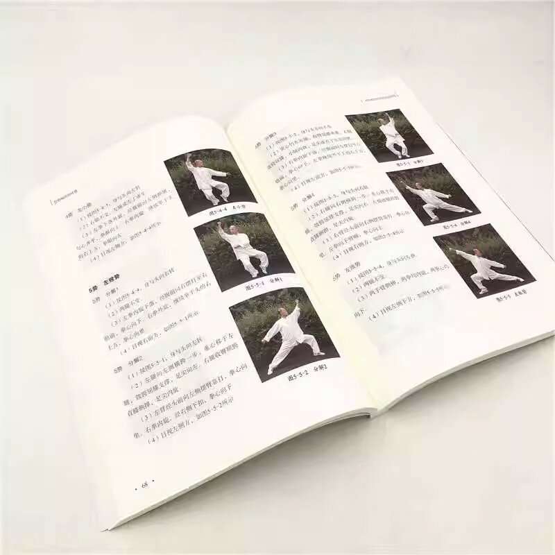 Wu Shi Meihuaquan autorstwa Wang zhizhonga chińskie Wushu książkę sztuka walki Kung Fu