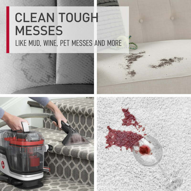 CleanSlate-Nettoyeur de taches pour tapis et solution pour animaux de compagnie, FHagglom10, 1 pièce