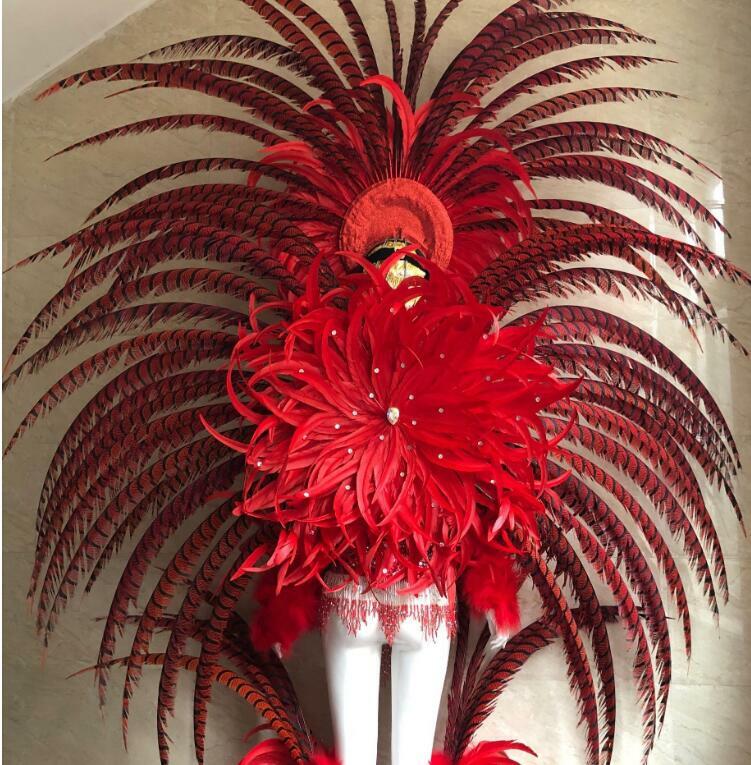 Costume de Plumes pour Femme, Spectacle de Carnaval, Grande Ouverture sur Scène