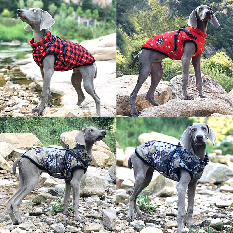 ฤดูหนาวสุนัขเสื้อผ้าสำหรับสุนัขขนาดเล็กที่อบอุ่นขนแกะขนาดใหญ่เสื้อกันหนาวสุนัขสัตว์เลี้ยง Coat กับ Harness Chihuahua เสื้อผ้าลูกสุนัข