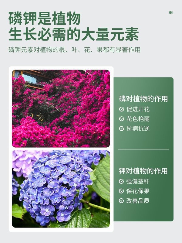 480gPotassium Dihydrogen Phosphate Nawóz, Specjalny nawóz liściowy do kwiatów, Prawdziwy kwiat rolniczy