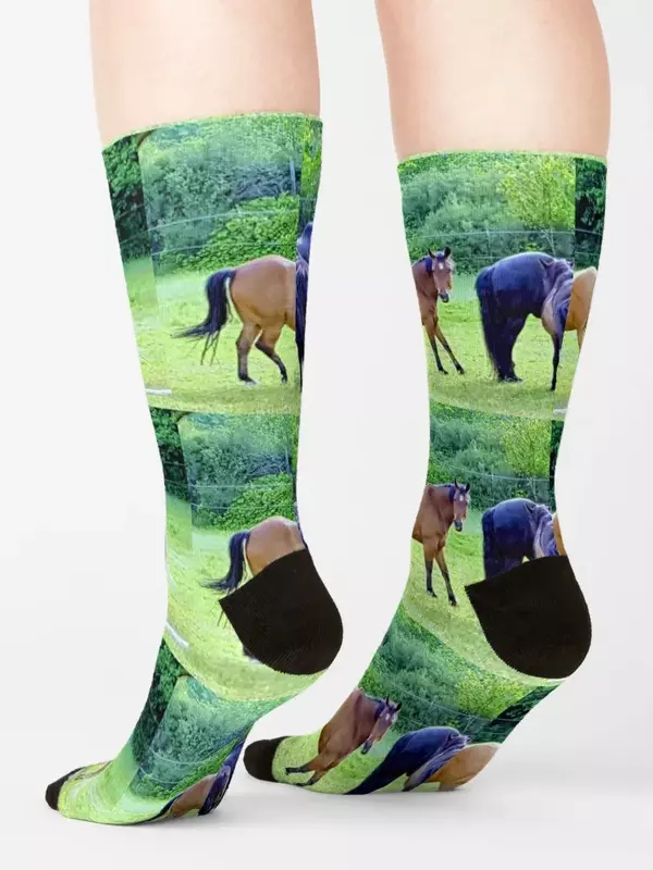 Cavalos dos homens em maravilhosas meias Whidbey algodão, presentes engraçados das meninas