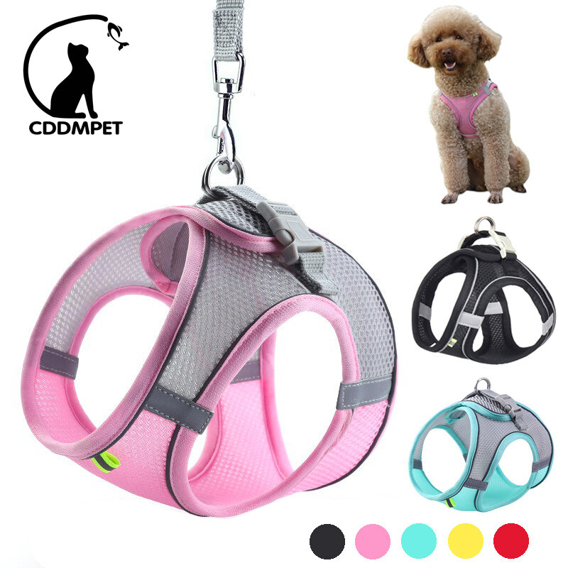 Dog Harness Leash Set for Small Dogs Adjustable Puppy Cat Harness Vest French Bulldog Chihuahua Pug Outdoor Walking Lead Leash