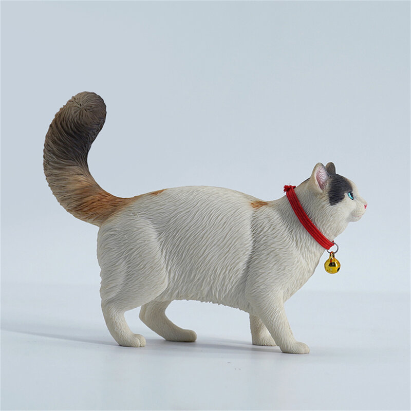 JXK-modelo de gato somalí 1/6, Animal divertido, escena realista, accesorio de decoración de escritorio, juguete de regalo de cumpleaños para adultos